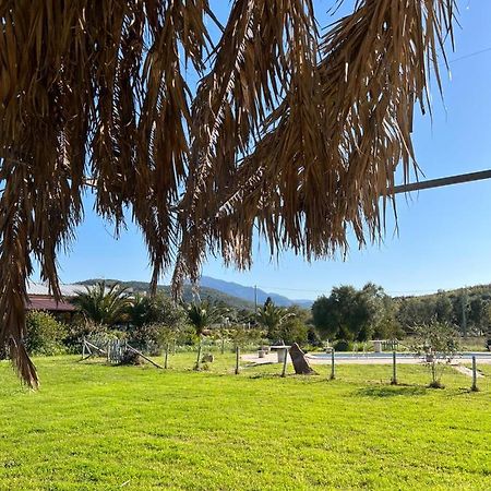 Agriturismo Su Niu Uta Eksteriør bilde
